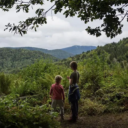 Domaine Des Messires-lodge De Luxe * Herpelmont