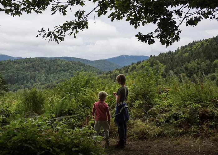 Domaine Des Messires-lodge De Luxe * Herpelmont